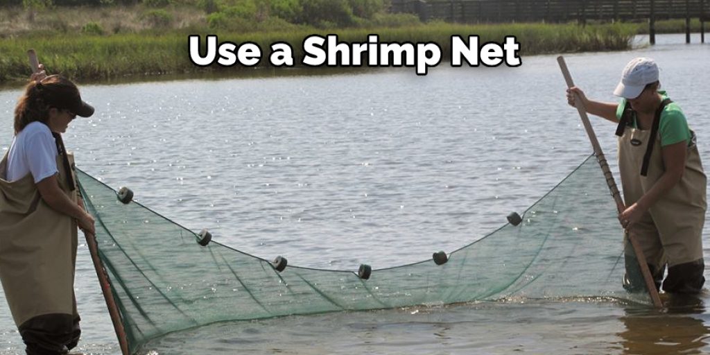 Use a Shrimp Net