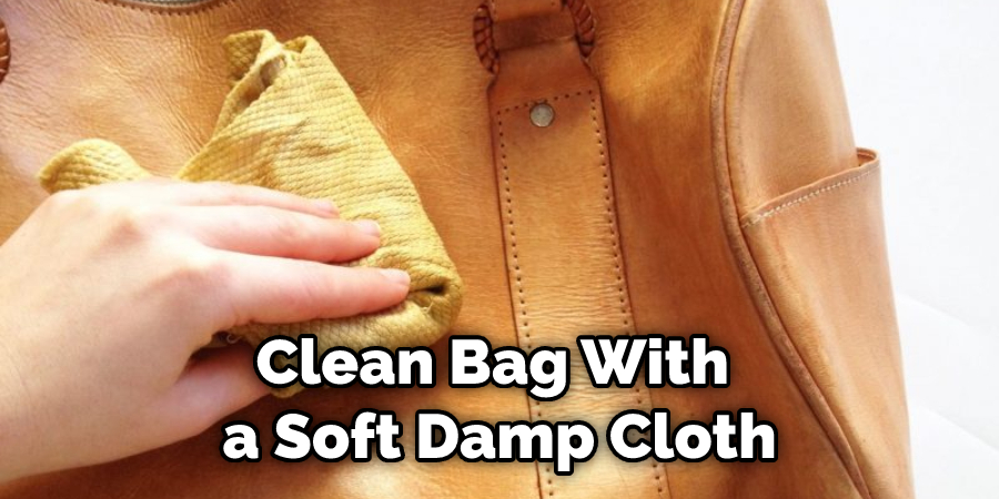 Clean Bag With a Soft Damp Cloth