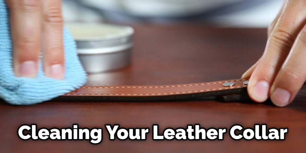 Cleaning Your Leather Collar