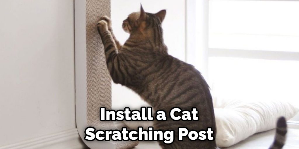 Install a Cat Scratching Post 