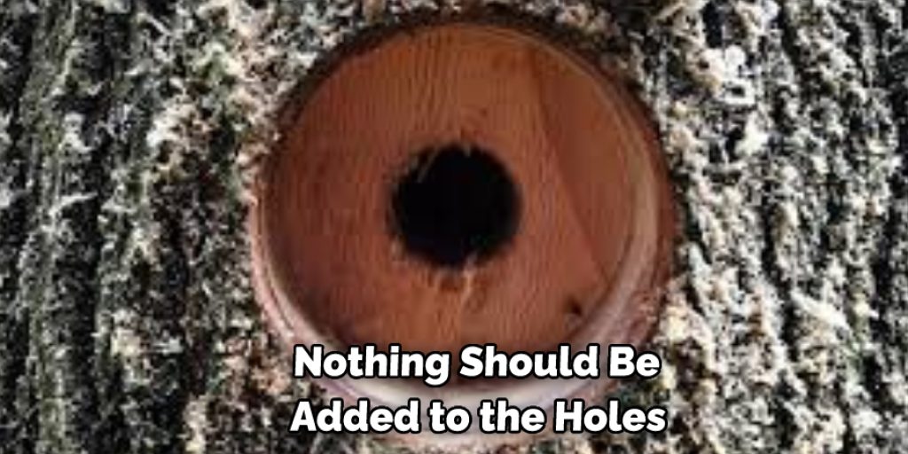 Nothing Should Be Added to the Holes