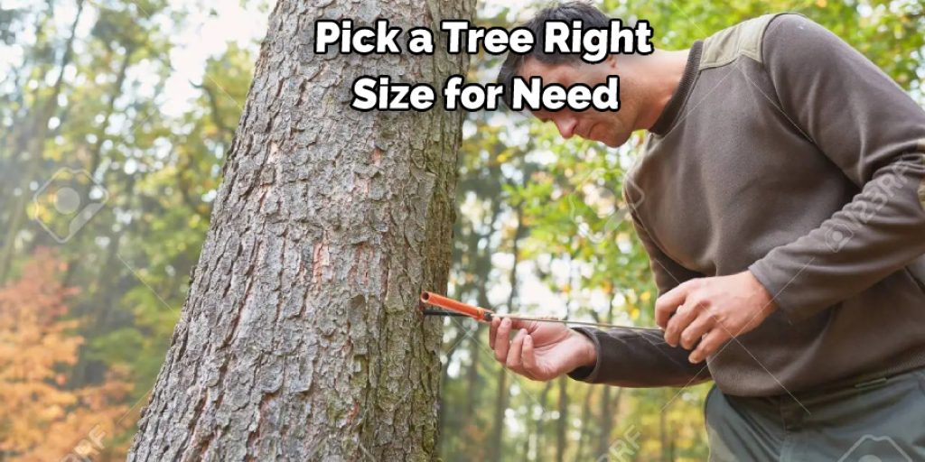 Pick a Tree Right Size for Need