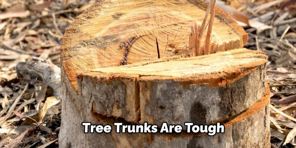 Tree Trunks Are Tough