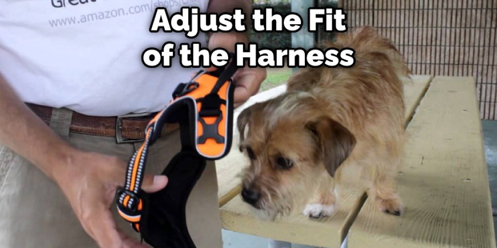 Adjust the Fit of the Harness