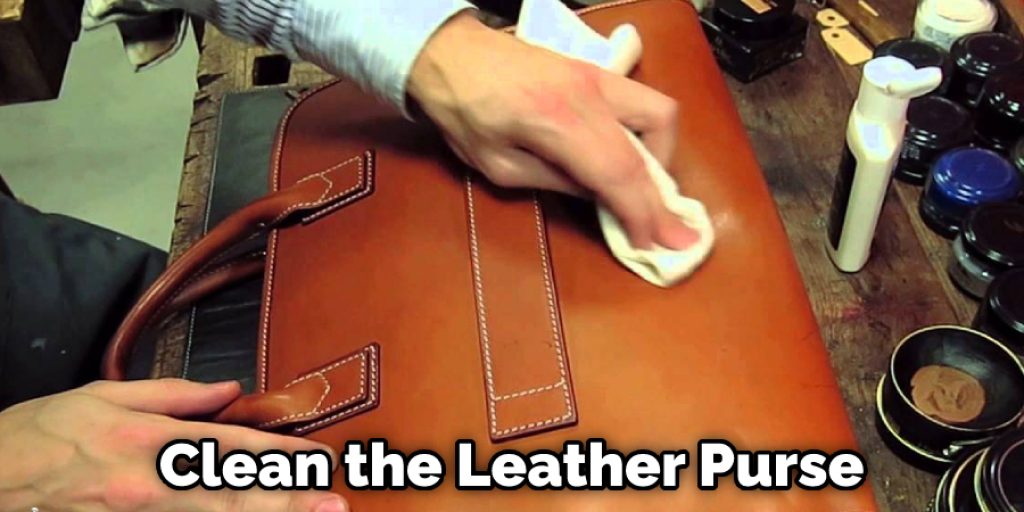 Clean the Leather Purse