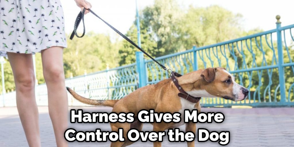 Harness Gives More Control Over the Dog