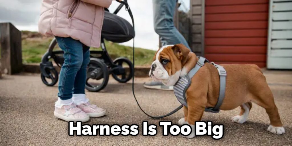 Harness Is Too Big