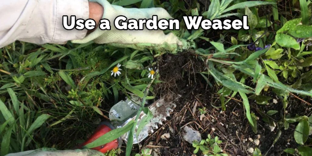 Use a Garden Weasel