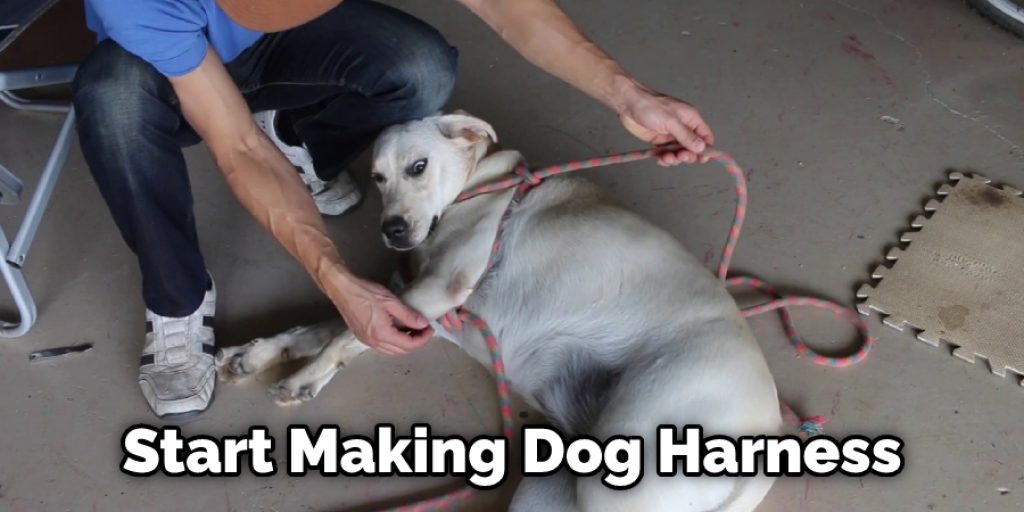 Start Making Dog Harness