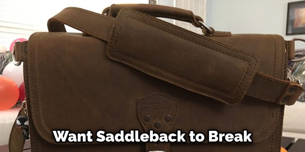 Want Saddleback to Break