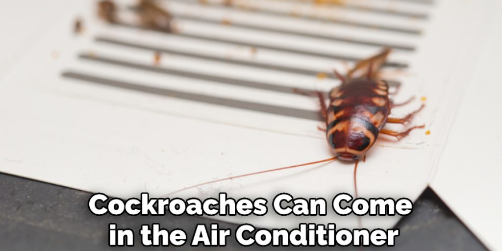Cockroaches Can Come  in the Air Conditioner