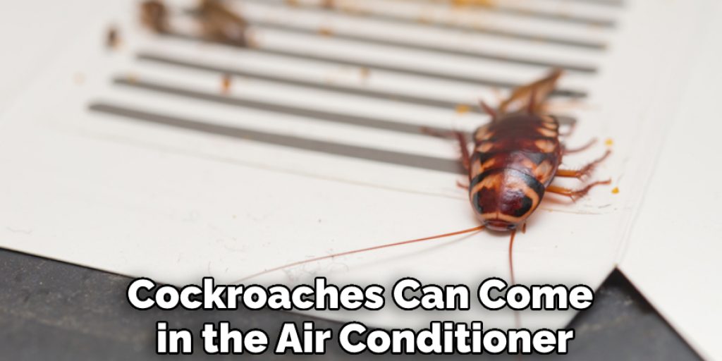 Cockroaches Can Come in the Air Conditioner