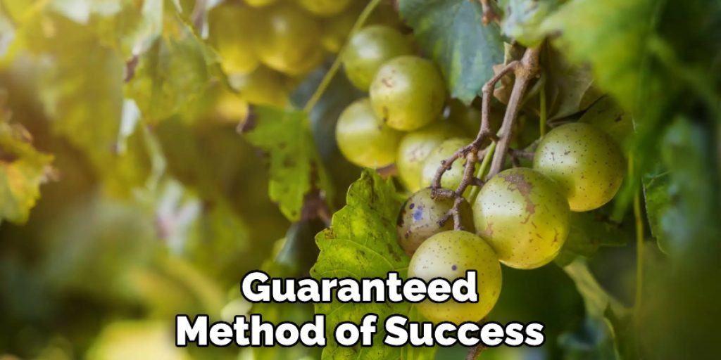 Guaranteed Method of Success