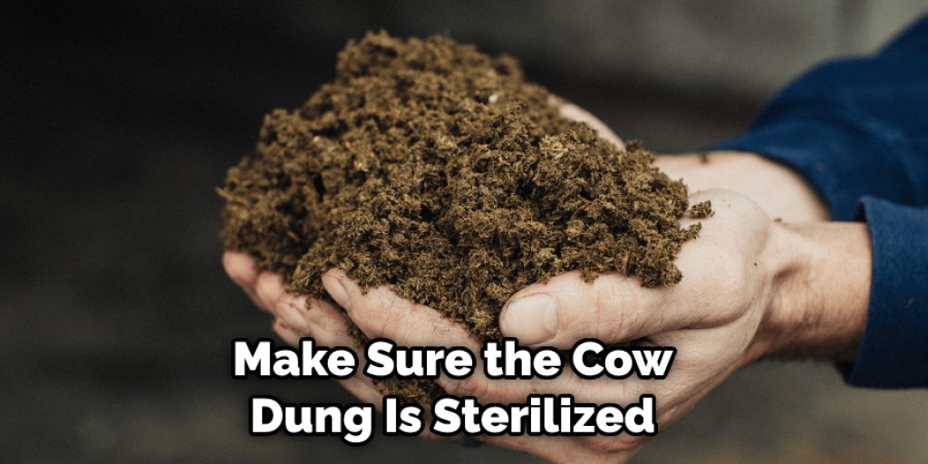 Make Sure the Cow Dung Is Sterilized
