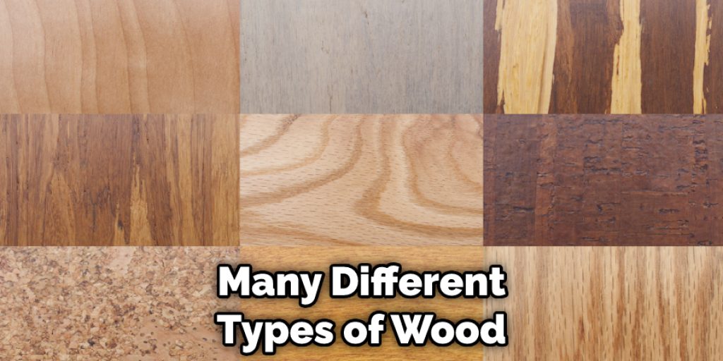Many Different Types of Wood
