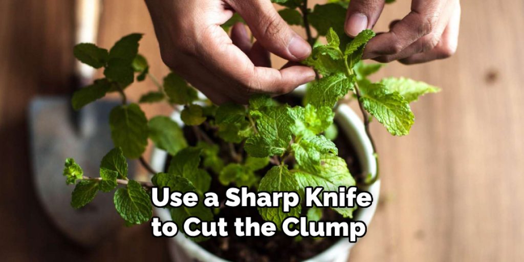  Use a Sharp Knife to Cut the Clump