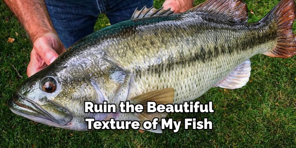 Ruin the Beautiful Texture of My Fish