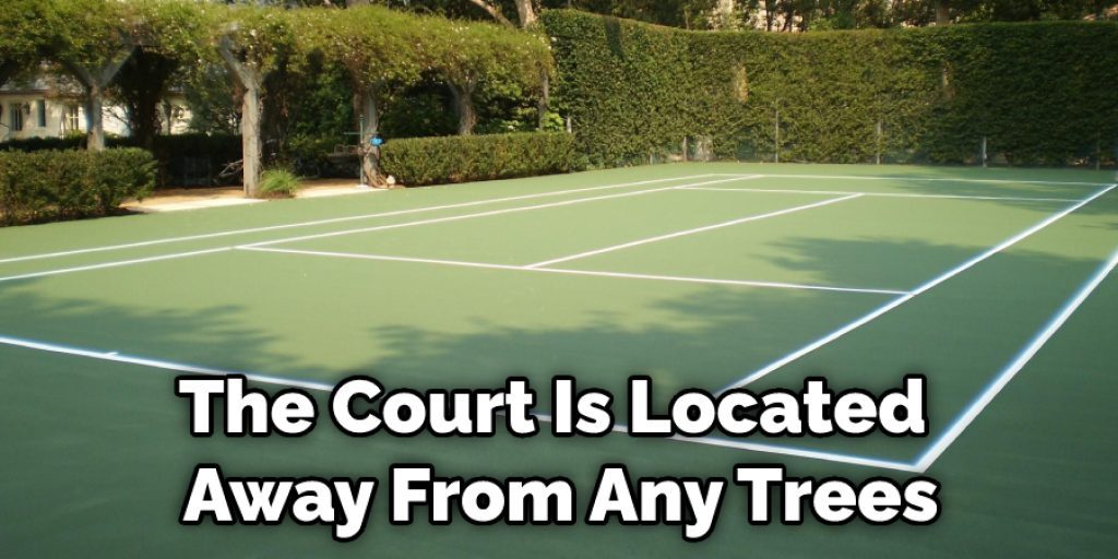 The Court Is Located Away From Any Trees