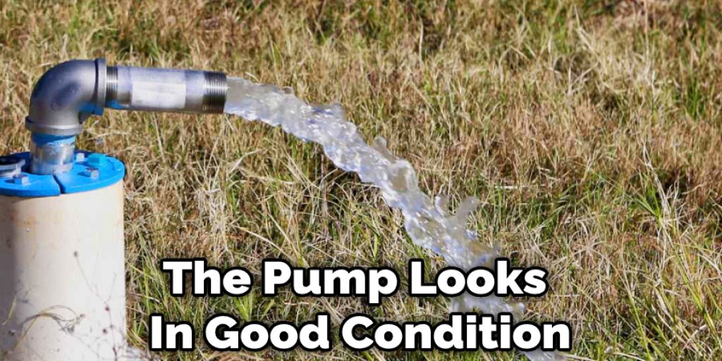 The Pump Looks  In Good Condition