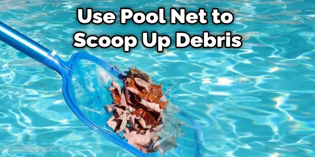 Use Pool Net to  Scoop Up Debris