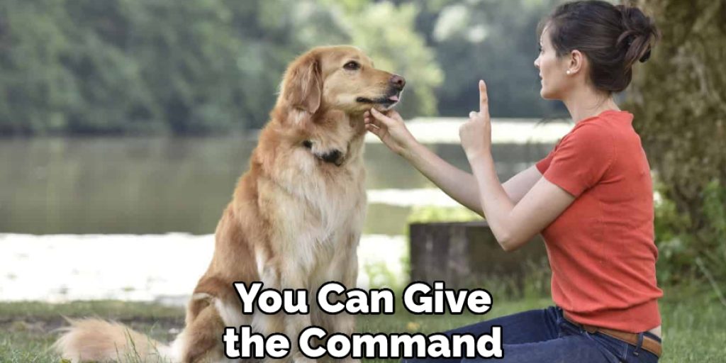 You Can Give the Command 