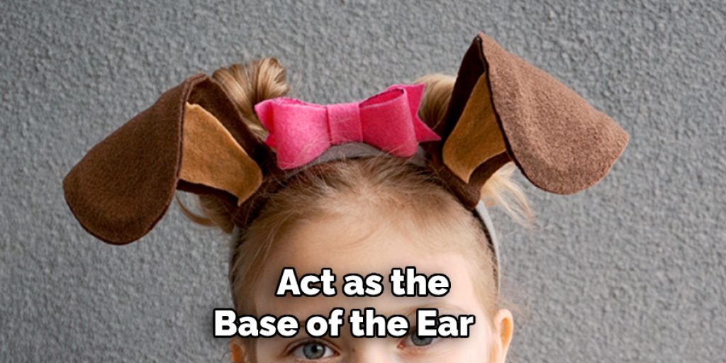 Act as the Base of the Ear     