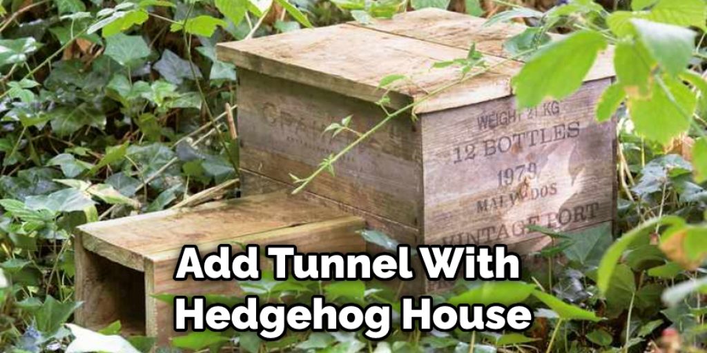Add Tunnel With  Hedgehog House