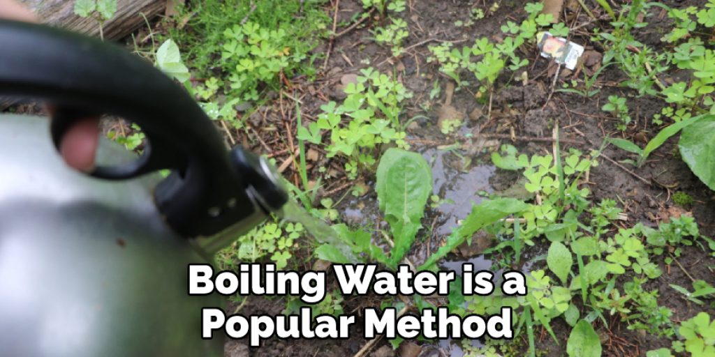 Boiling Water is a Popular Method