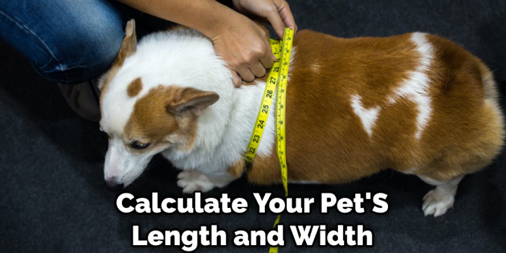 Calculate Your Pet'S Length and Width
