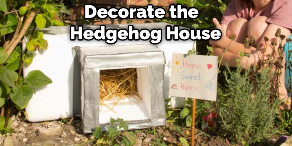 Decorate the  Hedgehog House
