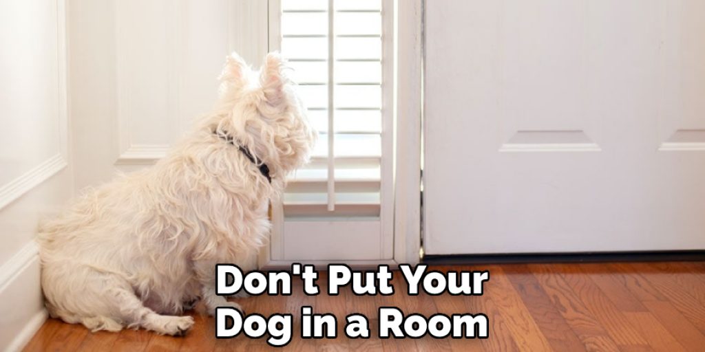 Don't Put Your Dog in a Room