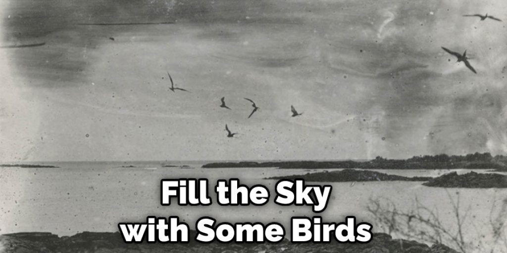 Fill the Sky with Some Birds