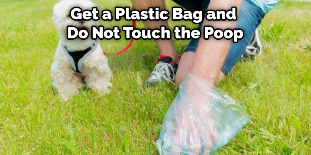 Get a Plastic Bag and Do Not Touch the Poop