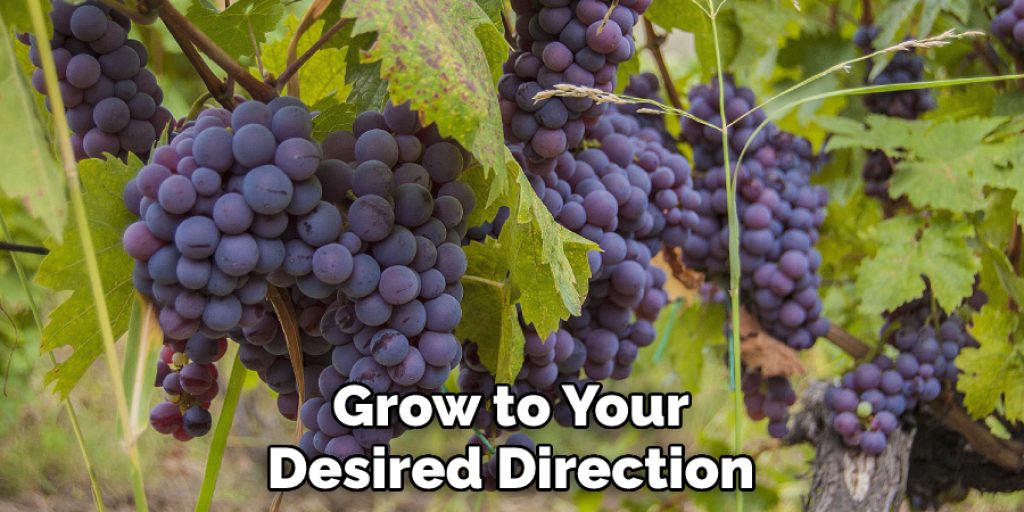 Grow to Your Desired Direction