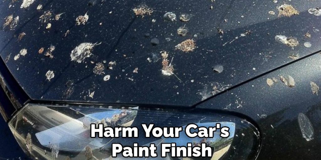 Harm Your Car's Paint Finish