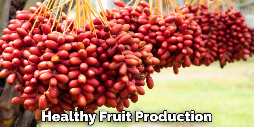 Healthy Fruit Production