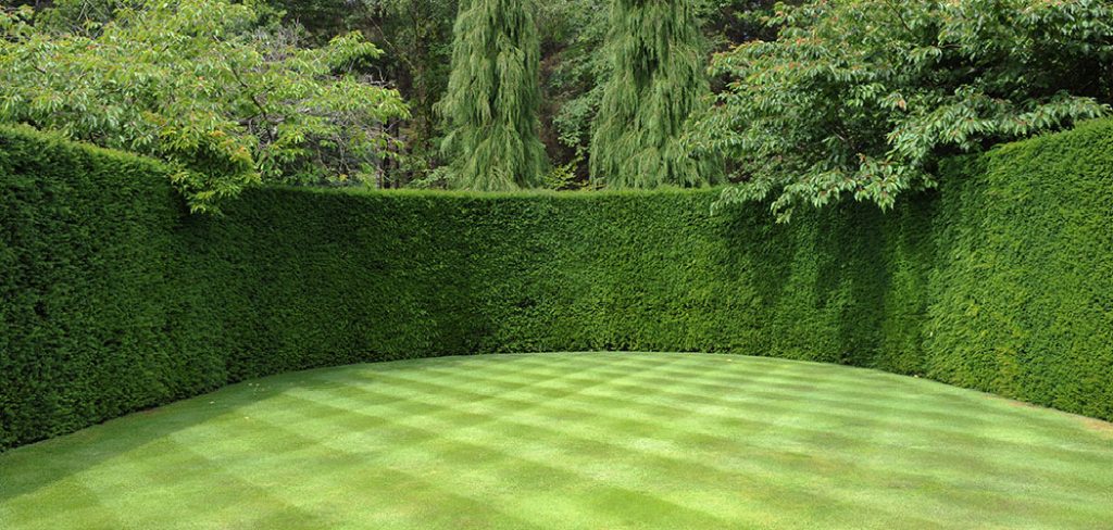How to Make Lawn Stripes
