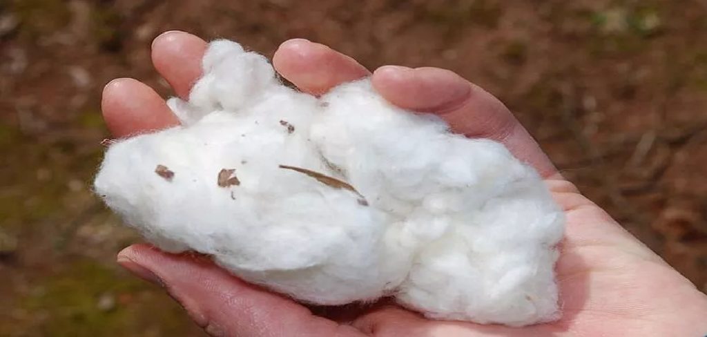 How to Make a Bunny Tail With Cotton Balls