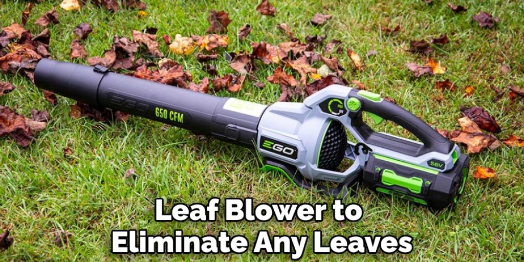 Leaf Blower to  Eliminate Any Leaves