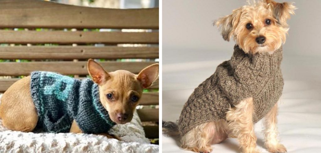 How to Make a Dog Sweater Out Of a Sock