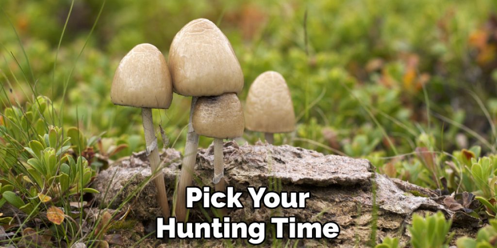 Pick Your Hunting Time