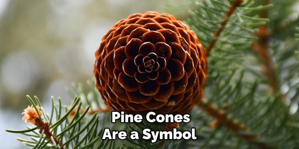 Pine Cones Are a Symbol 