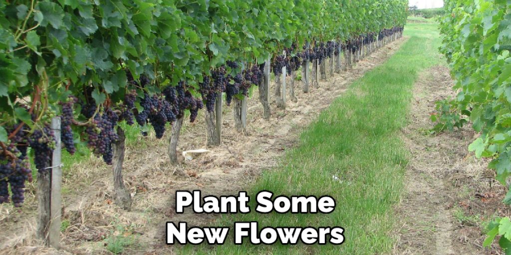 Plant Some New Flowers