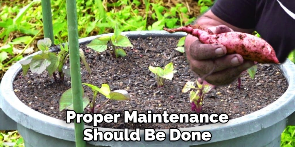 Proper Maintenance Should Be Done