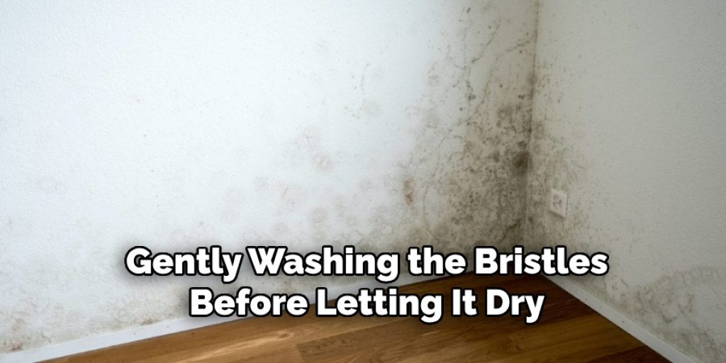 Gently Washing the Bristles Before Letting It Dry