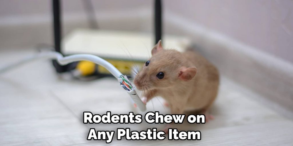 Rodents Chew on Any Plastic Item