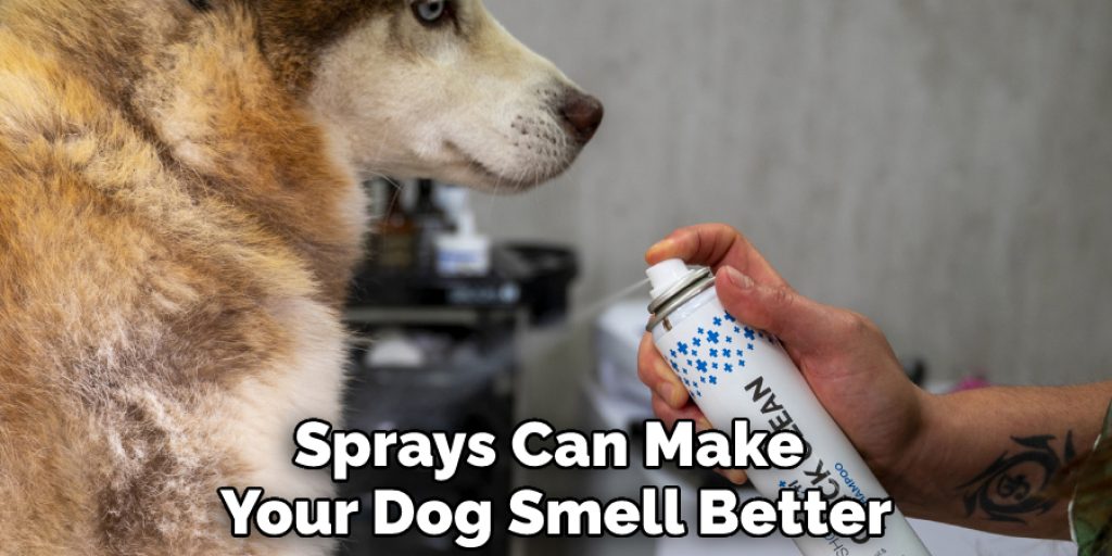 Sprays Can Make Your Dog Smell Better