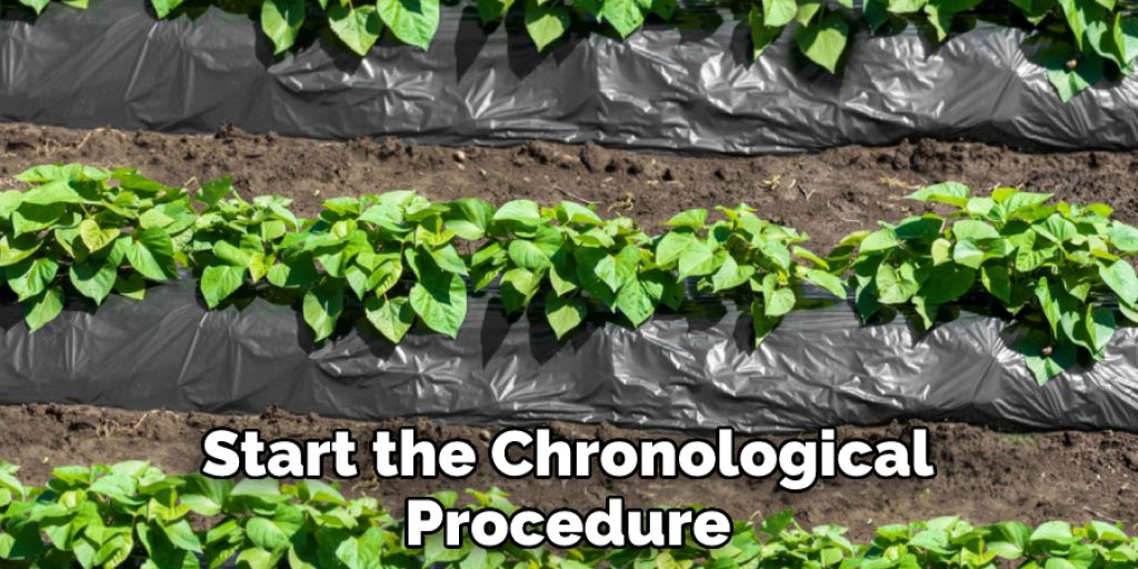 Start the Chronological Procedure