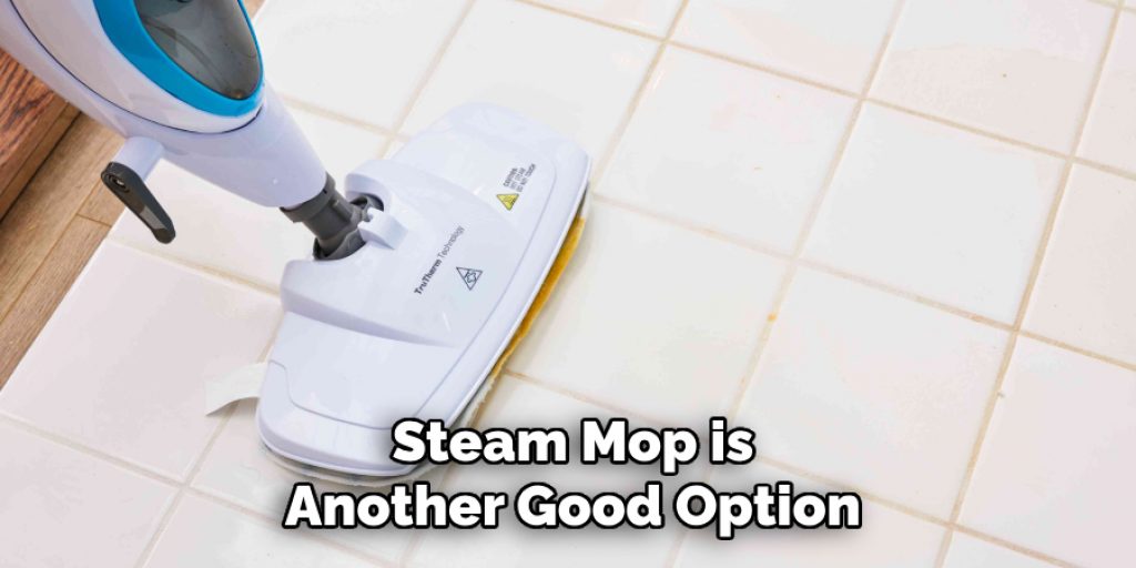 Steam Mop is
Another Good Option