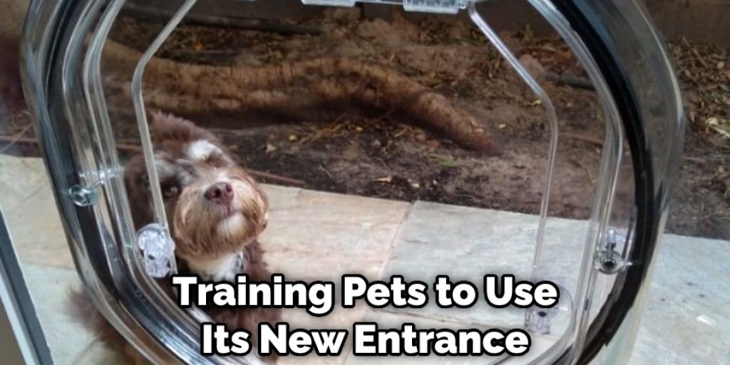 Training Pets to Use Its New Entrance
